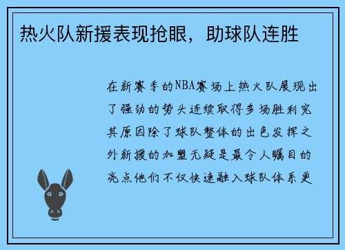 热火队新援表现抢眼，助球队连胜